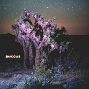 Shadows