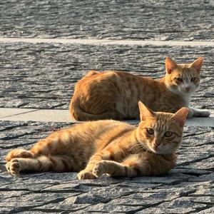 做完你的做你的