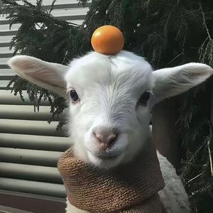 就算这个世界被寂寞忘掉