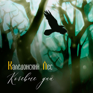Кельтская лира