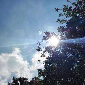 七楼的黑色羽绒