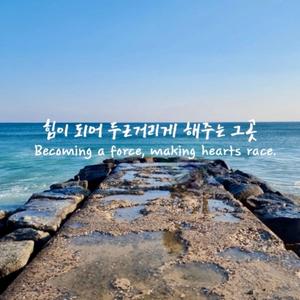 Jumunjin #2. (주문진 #2)