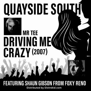 Driving Me Crazy (feat. Shaun Gibson & Mr Tee)