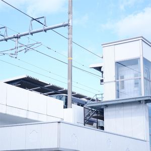 春日晴