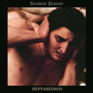 Vexillum ultra disonatiae