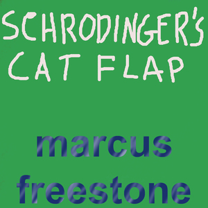 Schrodinger's Cat Flap