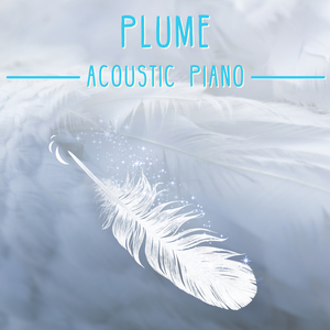 Plume (Acoustic Piano)