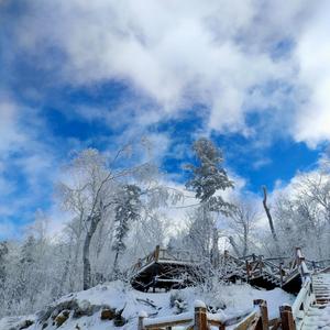 眉间雪（温柔治愈系御姐音）