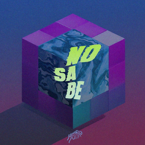 No Sabe