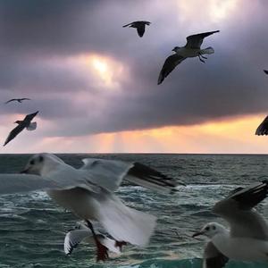 Get You Out Of My Head Remix