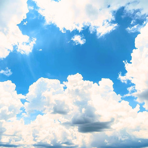 俺達のユースフル・デイズ