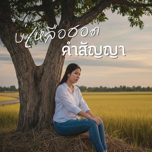 บ่เหลือฮอดคำสัญญา