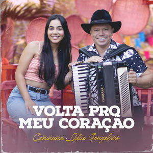 Volta pro Meu Coração
