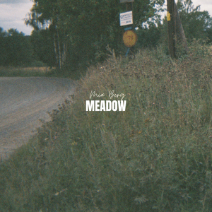 Meadow