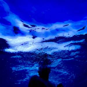 Neptune
