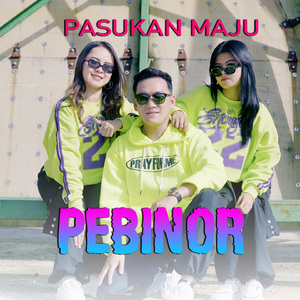 PEBINOR