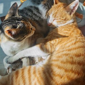 世界一の友人だったあなたへ