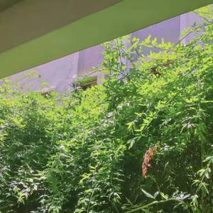 脚下的路有很多条