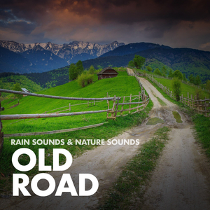 Rainbands (Original Mix)