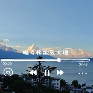 《唱着情歌去大理》mix