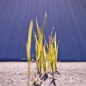 我说今晚月光那么美（cover好妹妹乐队）