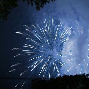 去北极忘记你