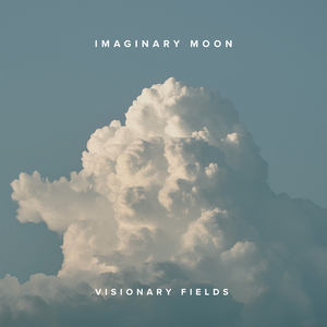 Visionary Fields (Sound Bath)