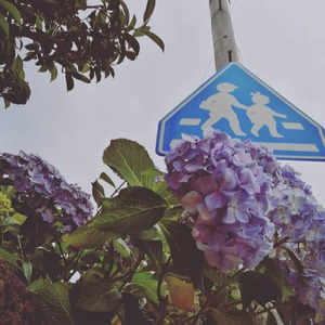 流れ星が落ちた