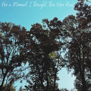 For a Moment I Thought This Was Real