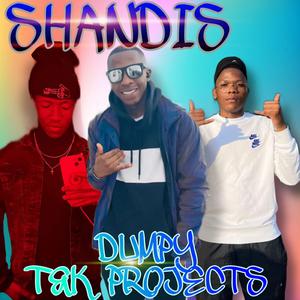 Shandis (feat. T&k Projects)
