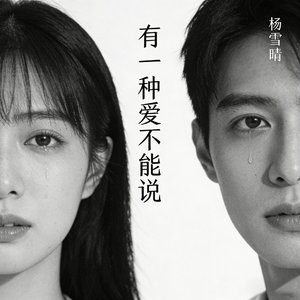 有一种爱不能说