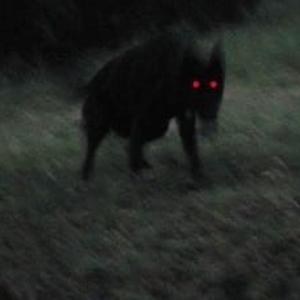 chiefing (feat. xaviersobased & dommyisnotonfire)