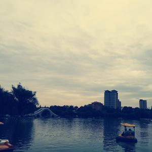 情难两全(原创demo)