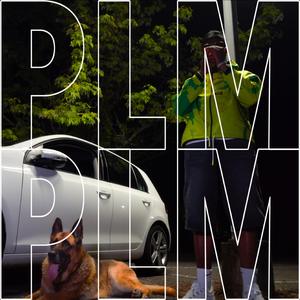 PLM