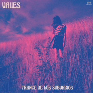 El Camuflaje Perfecto