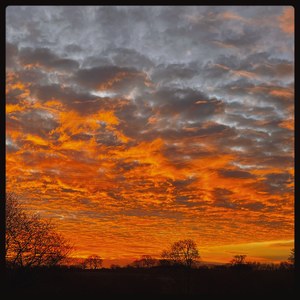 Love Letter To My Father