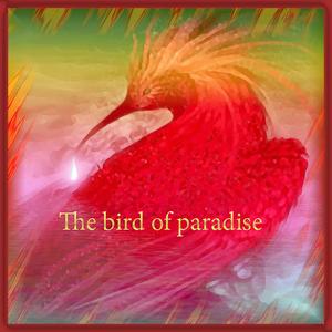 The Bird Of Paradise
