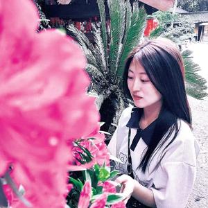 愚人的国度翻唱