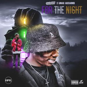 For the night (feat. Logan Alexander)