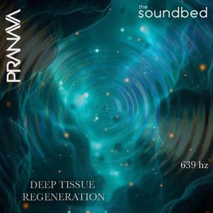 Deep Tissue Regeneration 639hz (27hz)