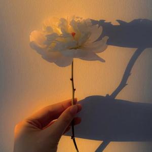 什么都懂的人最冷漠也最温柔