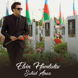 Şəhid Anası