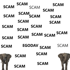 Scam
