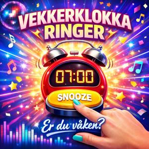 Er du våken?