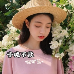 波音747 (DJ版)