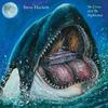 Steve Hackett - Into the Nightwhale