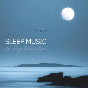 毎日聴きたい睡眠導入音楽 疲労回復ナイトルーティン