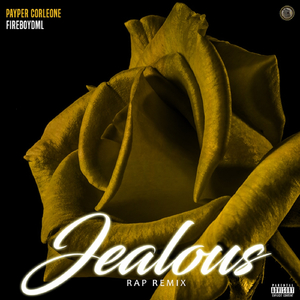Jealous Remix