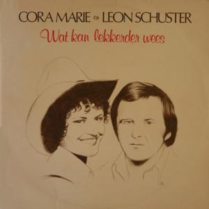 Die Held Van Transvaal