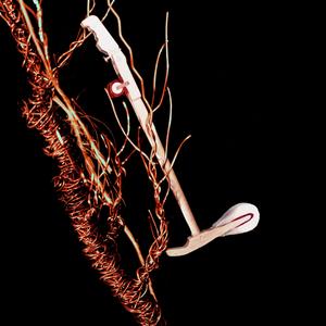 Rédemption (part 2) (feat. Larnell Lewis & Tommy Gauthier)